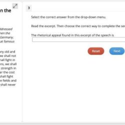 Excerpt from bee season answer key