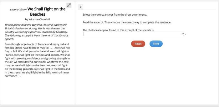 Excerpt from bee season answer key