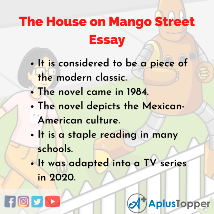 Hyperbole in the house on mango street