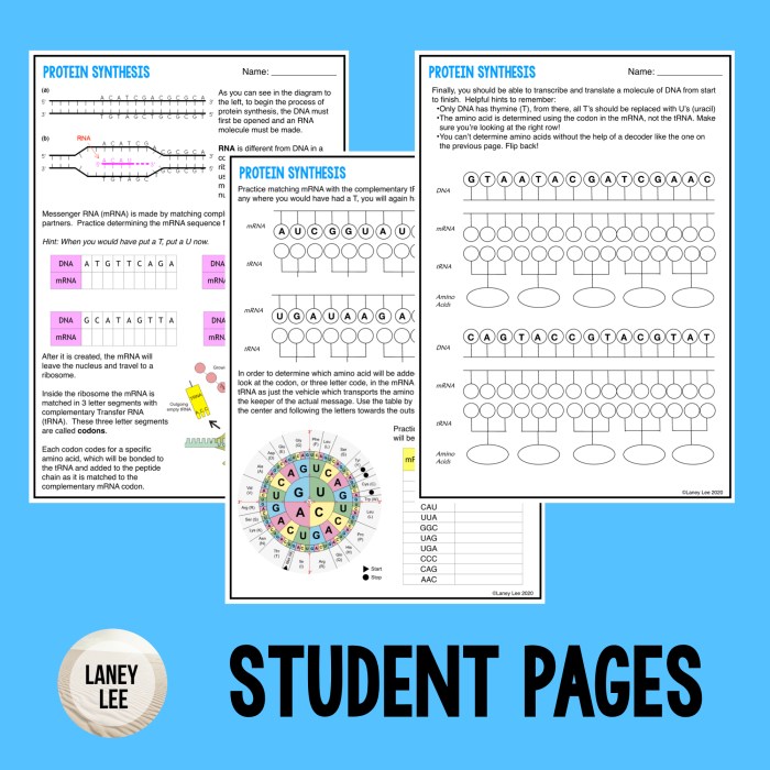 Answer key to protein synthesis worksheet