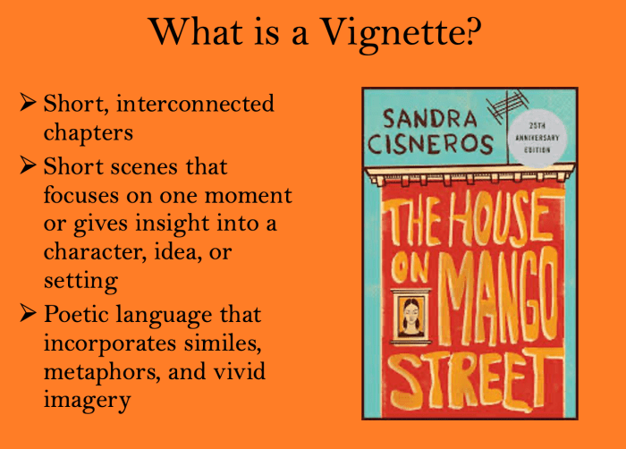 Hyperbole in the house on mango street