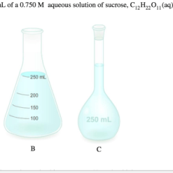 A student needs to prepare 250 ml of a