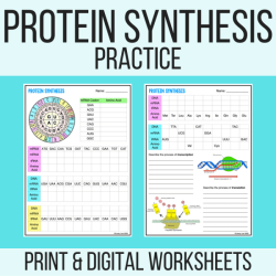 Answer key to protein synthesis worksheet