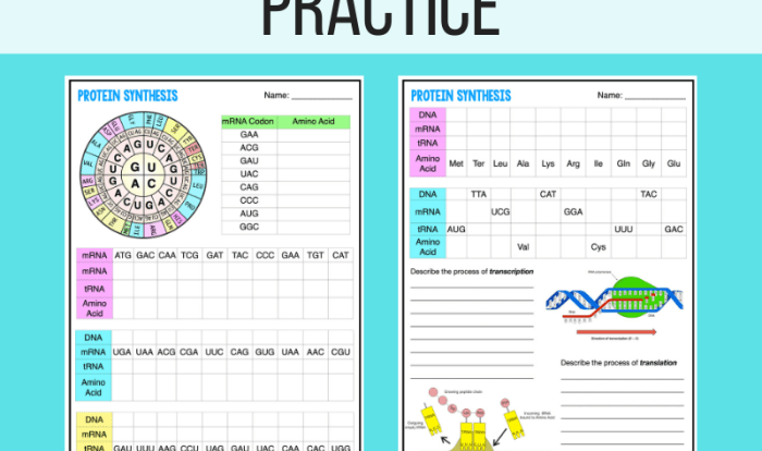 Answer key to protein synthesis worksheet