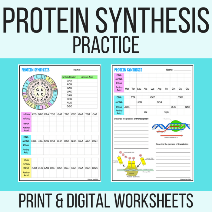 Answer key to protein synthesis worksheet