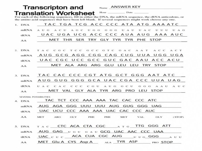 Answer key to protein synthesis worksheet