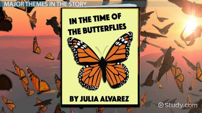 In the time of the butterflies chapter 6 summary