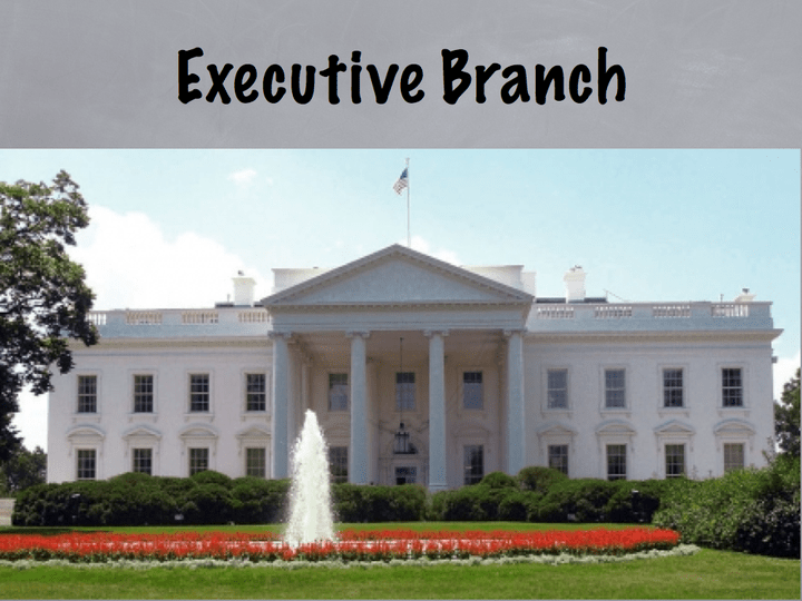 The executive branch webquest answer key pdf