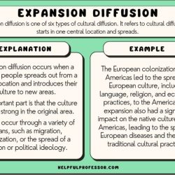 Voting district definition ap human geography