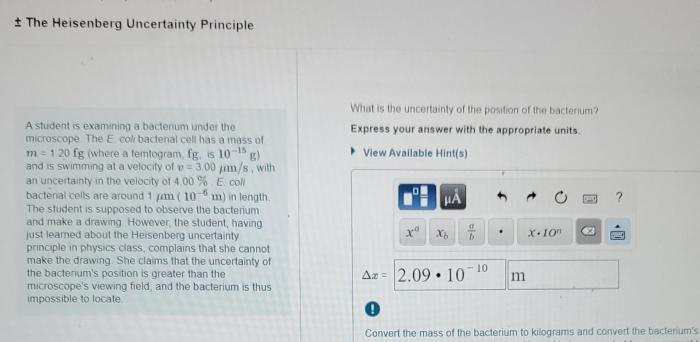 What is the uncertainty of the position of the bacterium