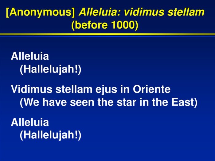 Stellam alleluia vidimus